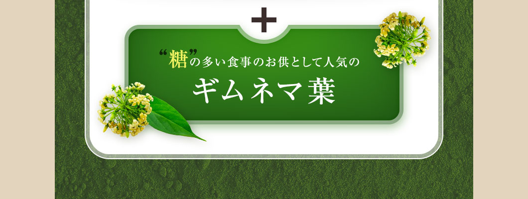 糖の多い食事のお供として人気のギムネマ葉