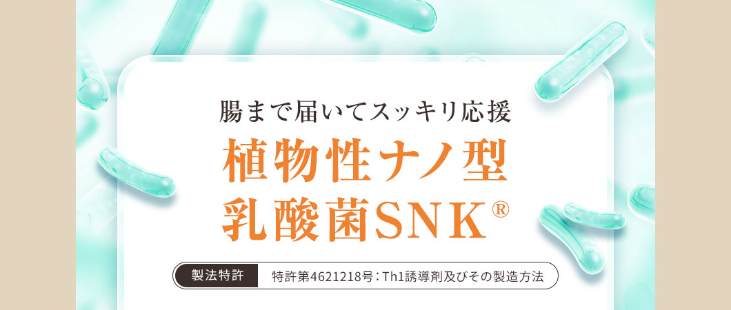 腸まで届いてスッキリ応援植物性ナノ型乳酸菌SNK®