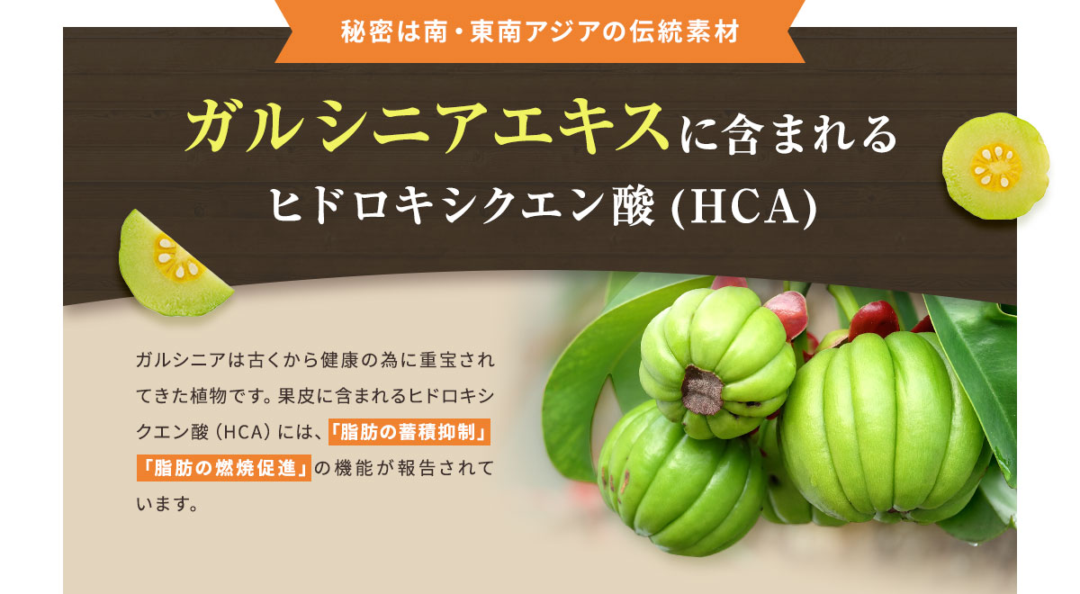 ガルシニアエキスに含まれるヒドロキシクエン酸(HCA)