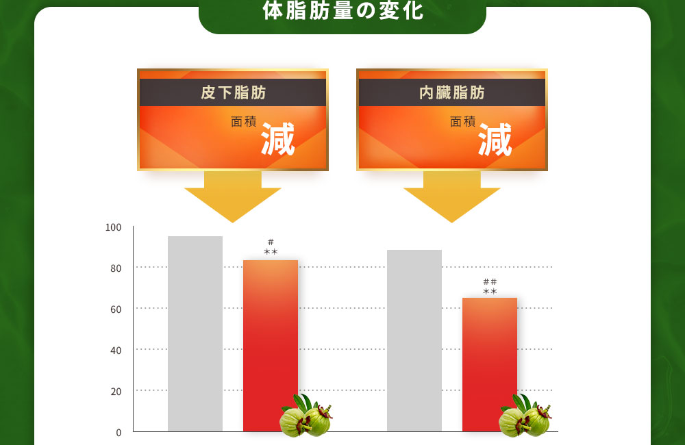 体脂肪量の変化